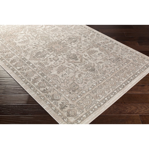 Rafetus ETS-2337 Machine Crafted Area Rug